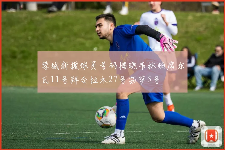 蓉城新援球员号码揭晓韦林顿席尔瓦11号拜合拉木27号茹萨5号