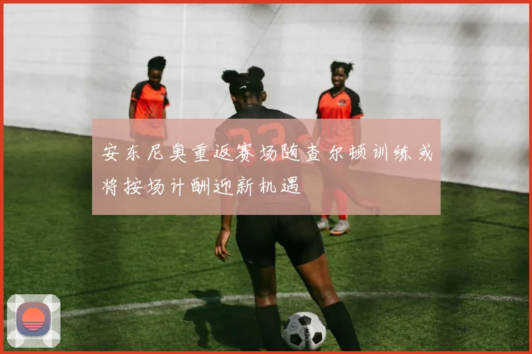 安东尼奥重返赛场随查尔顿训练或将按场计酬迎新机遇