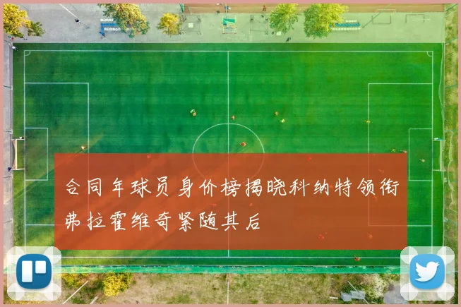 合同年球员身价榜揭晓科纳特领衔弗拉霍维奇紧随其后