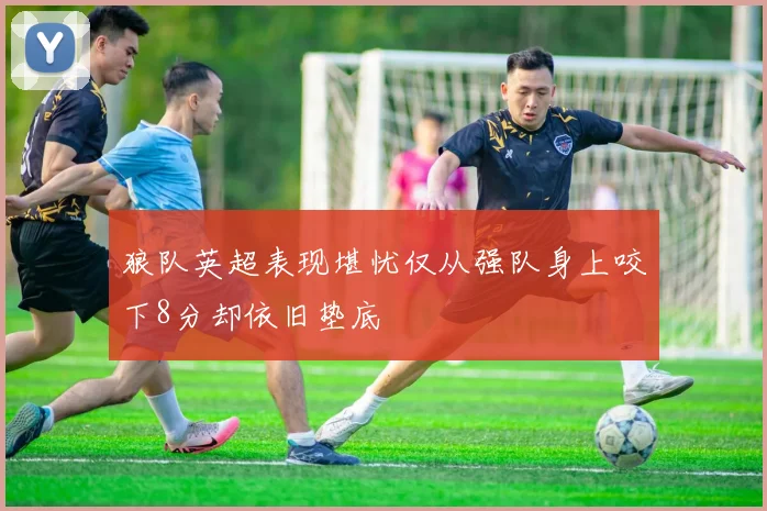 狼队英超表现堪忧仅从强队身上咬下8分却依旧垫底