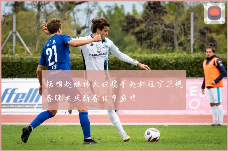 杨鸣赵继伟夫妇携手亮相辽宁卫视春晚共庆新春佳节盛典